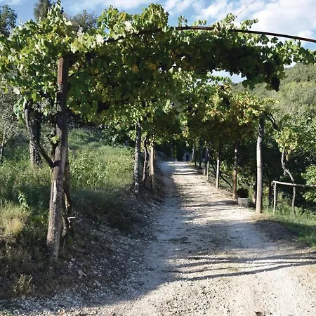 Дом отдыха 4 Bedroom Awesome In Di Narni Tr *